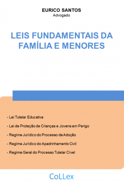 Leis Fundamentais da Família e Menores